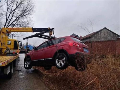 平果楚雄道路救援